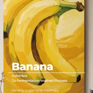 Banana (ABSOLUTE)