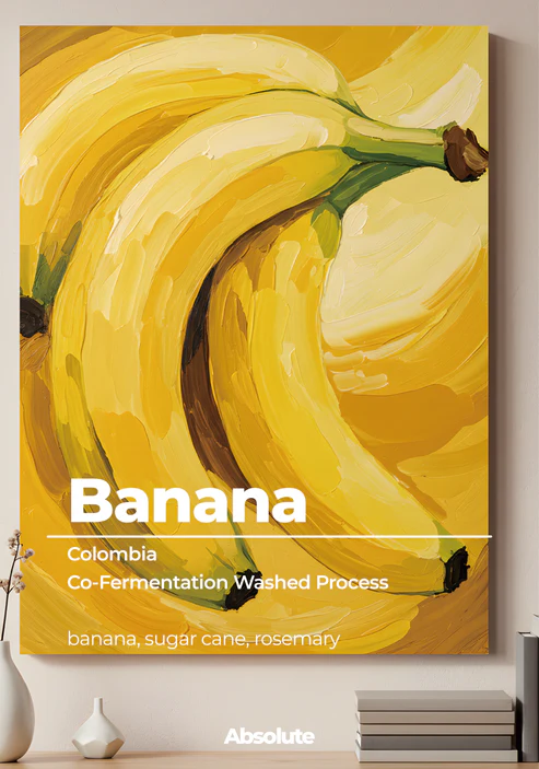 Banana (ABSOLUTE)