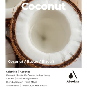 Coconut (ABSOLUTE)