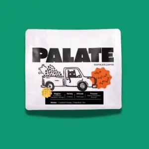 Colombia Orange Candy (PALATE)