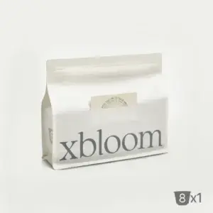 Xbloom: Coffee of the Day I Ethiopian