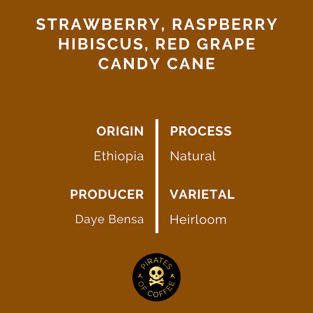 Fruit Punch Filter: Ethiopia Natural (PIRATES OF COFFEE) - الصورة 2