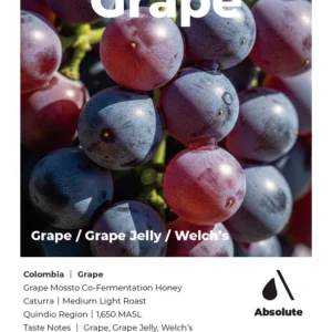 Grape (ABSOLUTE)