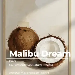 Malibu Dream- Coconut (ABSOLUTE)