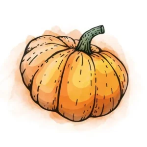 Peru- Pumpkin (THE COFFEE FACTORY)