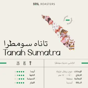 Tanah Sumatra (SOIL ROASTERS)